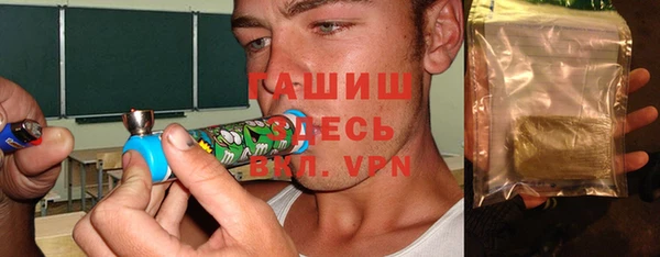 PSILOCYBIN Алзамай