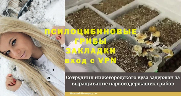 амфетамин Алексин