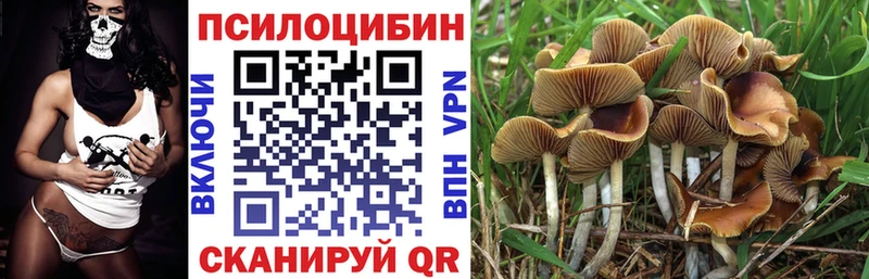 Галлюциногенные грибы ЛСД  Котлас 